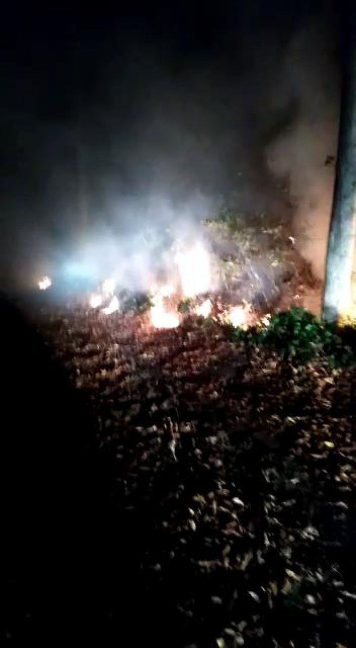 Ordu’daki orman yangınında, 10 hektarlık alan zarar gördü -9