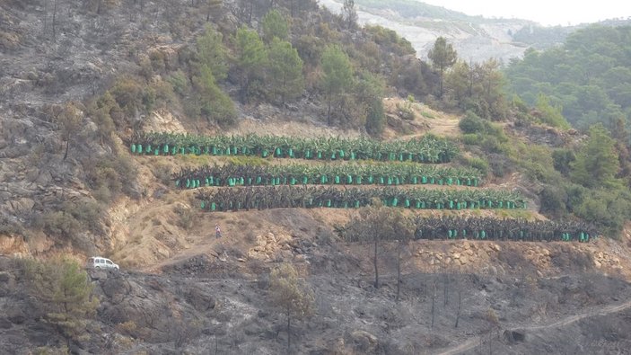 Anamur'daki orman yangınında 150 hektar alan zarar gördü (2) -5