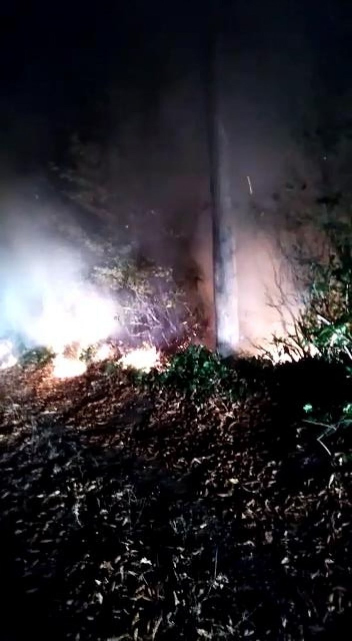 Ordu’daki orman yangınında, 10 hektarlık alan zarar gördü -8