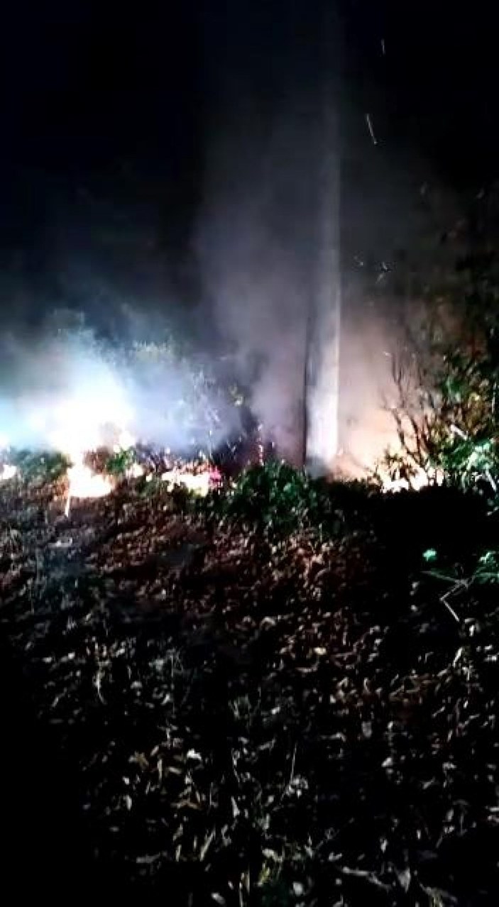 Ordu’daki orman yangınında, 10 hektarlık alan zarar gördü -7