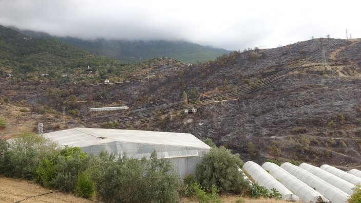 Anamur'daki orman yangınında 150 hektar alan zarar gördü (2) -7
