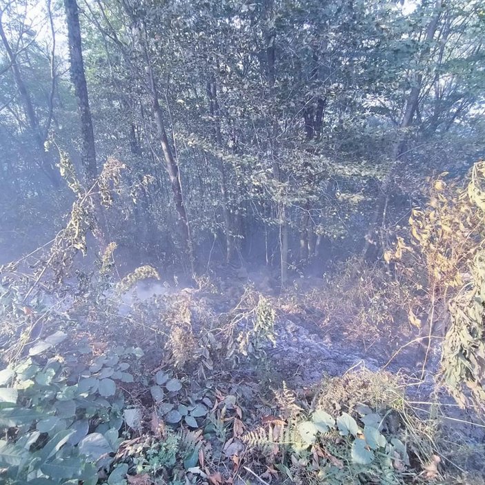 Ordu’daki orman yangınında, 10 hektarlık alan zarar gördü -3
