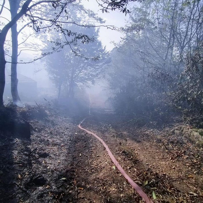 Ordu’daki orman yangınında, 10 hektarlık alan zarar gördü -2