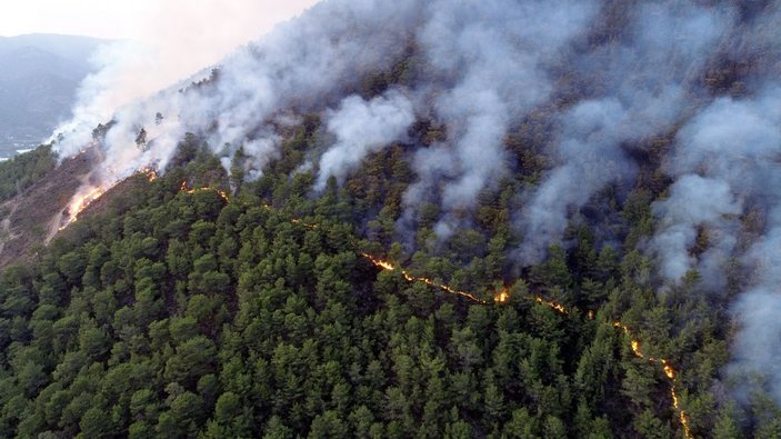 Anamur'daki orman yangınında 150 hektar alan zarar gördü -1