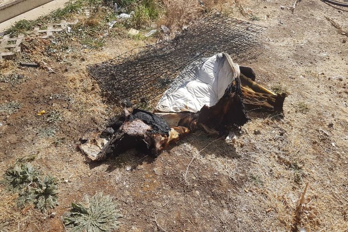 Elazığ'daki yangında 8 aylık Hiranur öldü, ağabeyi ağır yaralandı -6