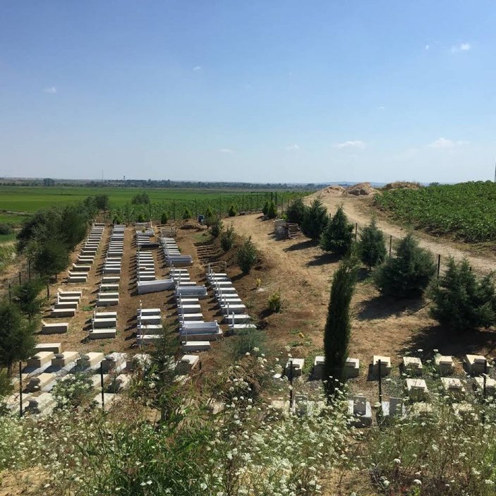 Edirne hayvan mezarlığı
