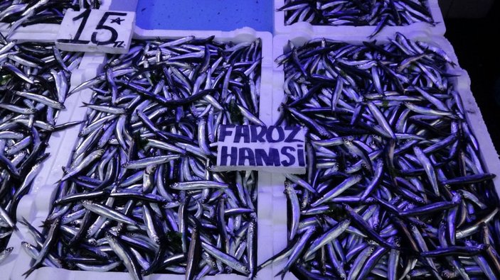 Trabzon'da tezgahlarda, palamudun yerini hamsi aldı -10