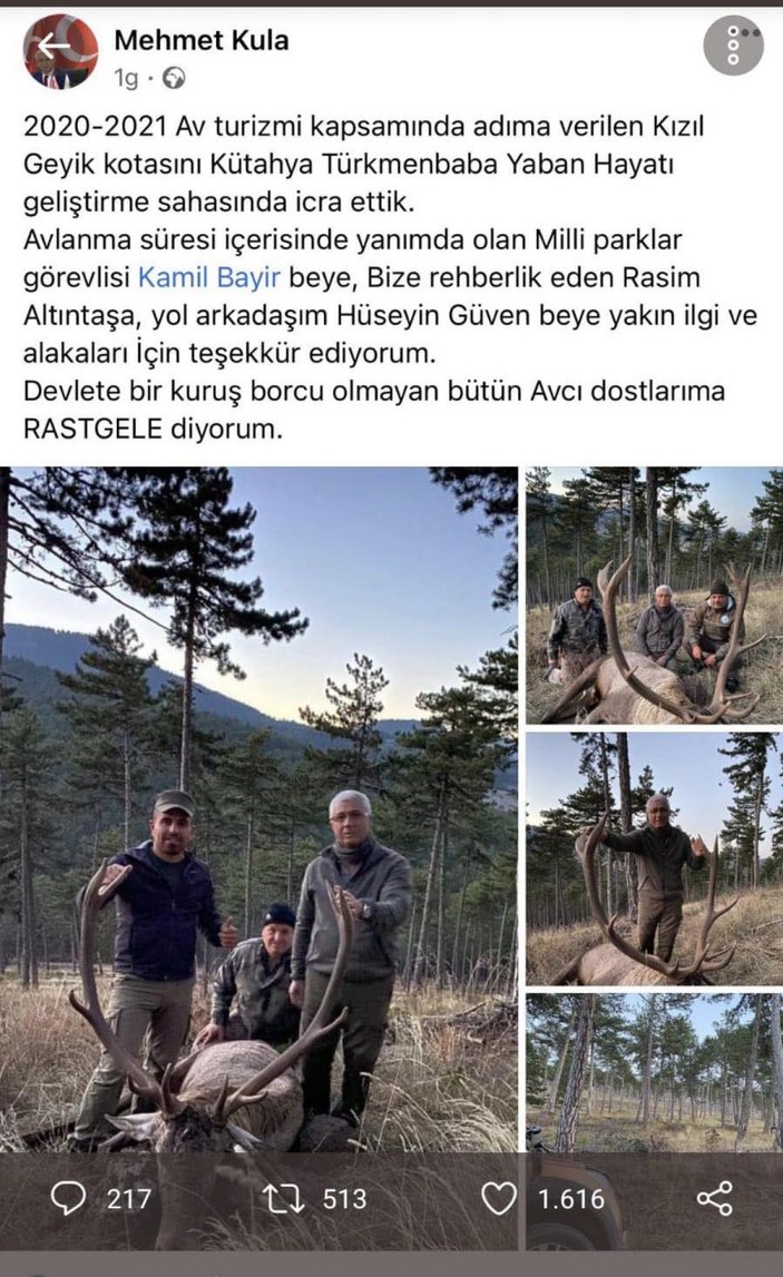 Mehmet Kula kızıl geyik