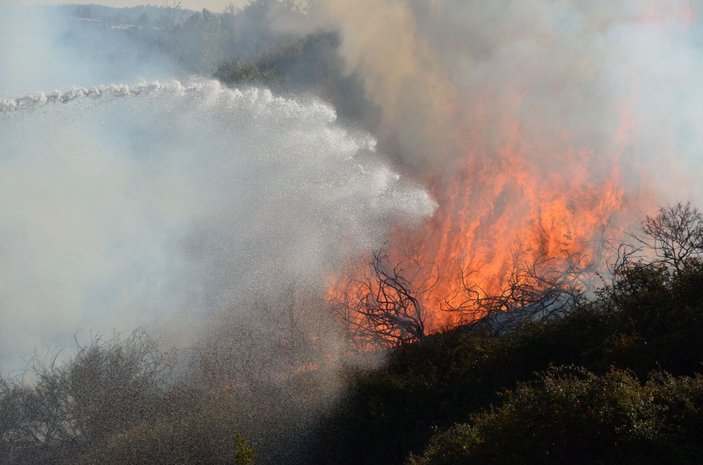 Antalya'da makilik yangını; 5 dekar alan kül oldu -3