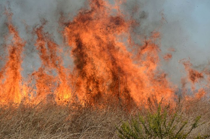 Antalya'da makilik yangını; 5 dekar alan kül oldu -5