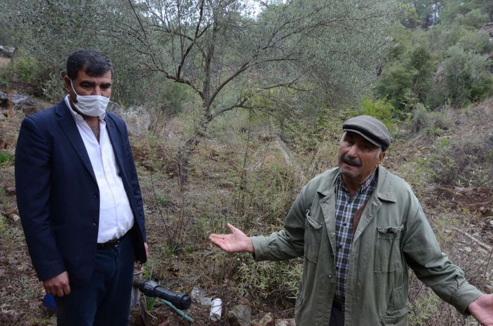 Kuyuya düşüp ölen eşeği için 'Arabayı her yerde bulurum ama eşeği bulamam' diye üzüldü -1