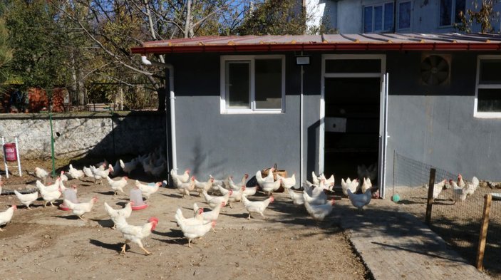 Okul bahçesindeki kümesten sağlanan yumurtalar öğrencilere burs oldu -3
