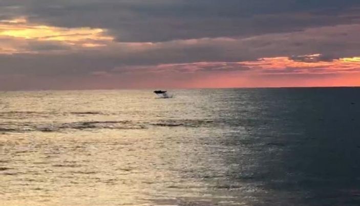 Turistlerin çekildiği sahiller yunuslara kaldı -3