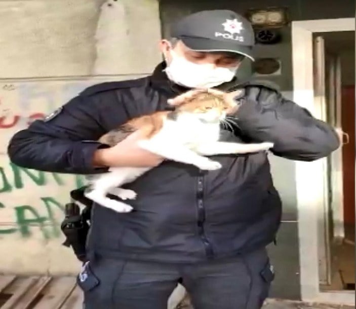 Bahçelievler’de dükkanda mahsur kalan kediyi polisin dikkati kurtardı -5