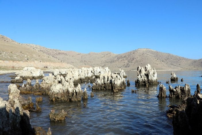 Van Gölü çekilince dünyanın en büyük mikrobiyalitleri gün yüzüne çıktı -7