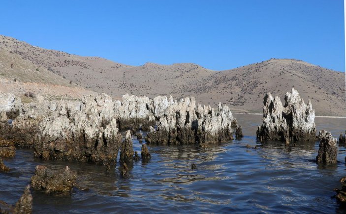 Van Gölü çekilince dünyanın en büyük mikrobiyalitleri gün yüzüne çıktı -5