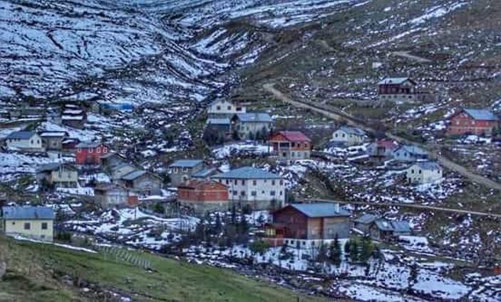 Rize’de ayılar, 25 yayla evine zarar verdi -8