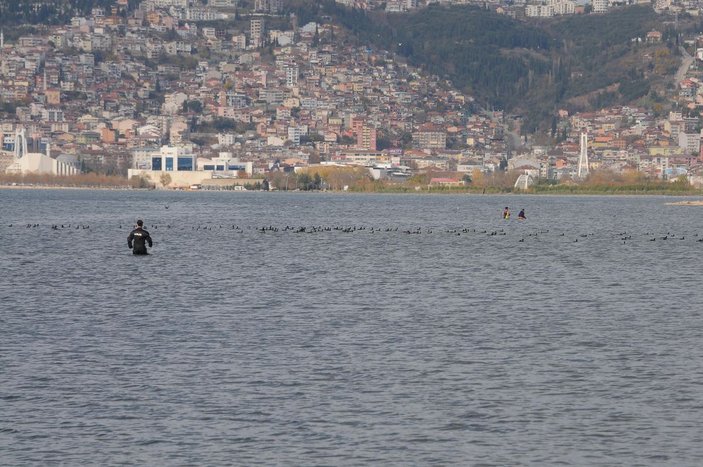 Kocaeli'de kaçak midye avcılarını dalgıç polisler, denizde kovaladı