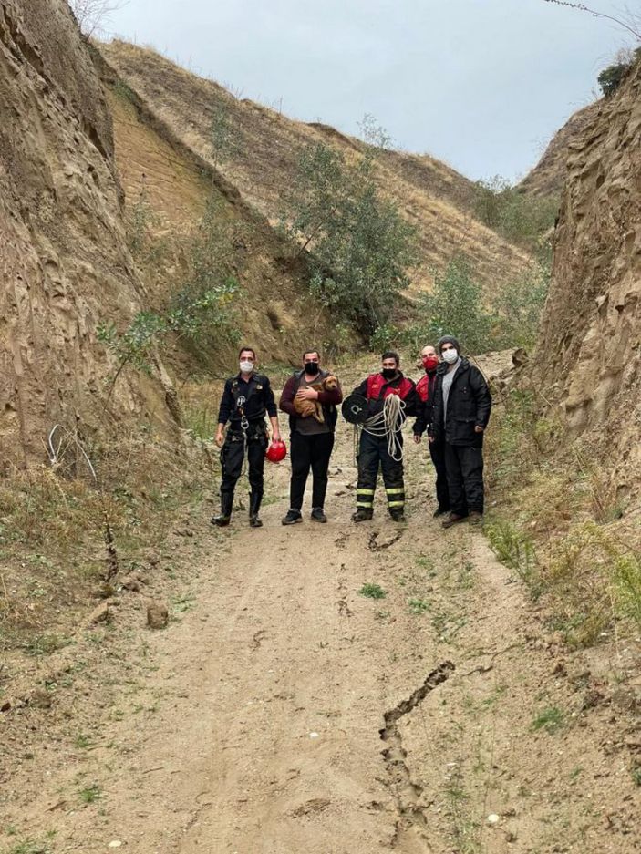 Yamaçta mahsur kalan köpeği itfaiye kurtardı -7