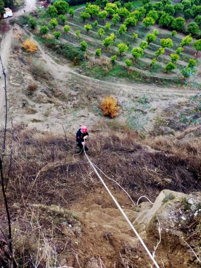 Yamaçta mahsur kalan köpeği itfaiye kurtardı -4