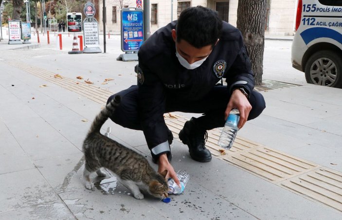 Kafede mahsur kalan kediye, polisin su içirme çabası kamerada -5