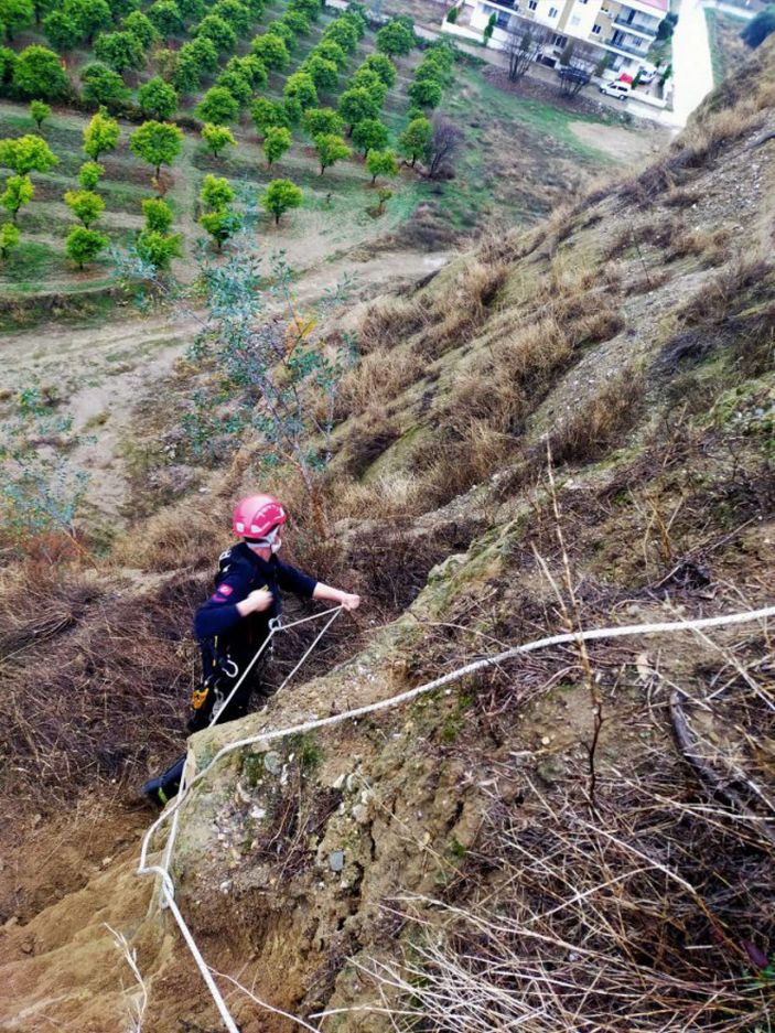 Yamaçta mahsur kalan köpeği itfaiye kurtardı -6
