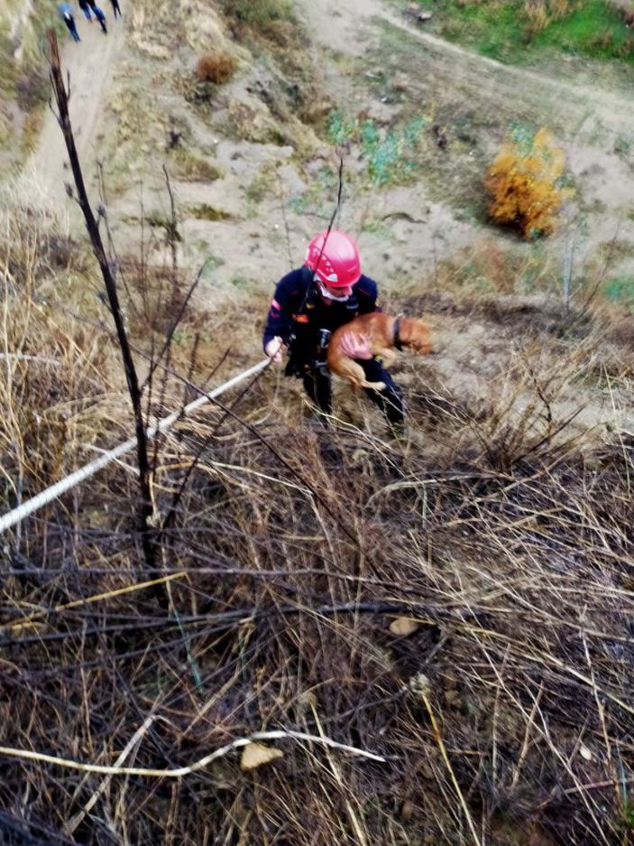 Yamaçta mahsur kalan köpeği itfaiye kurtardı -5