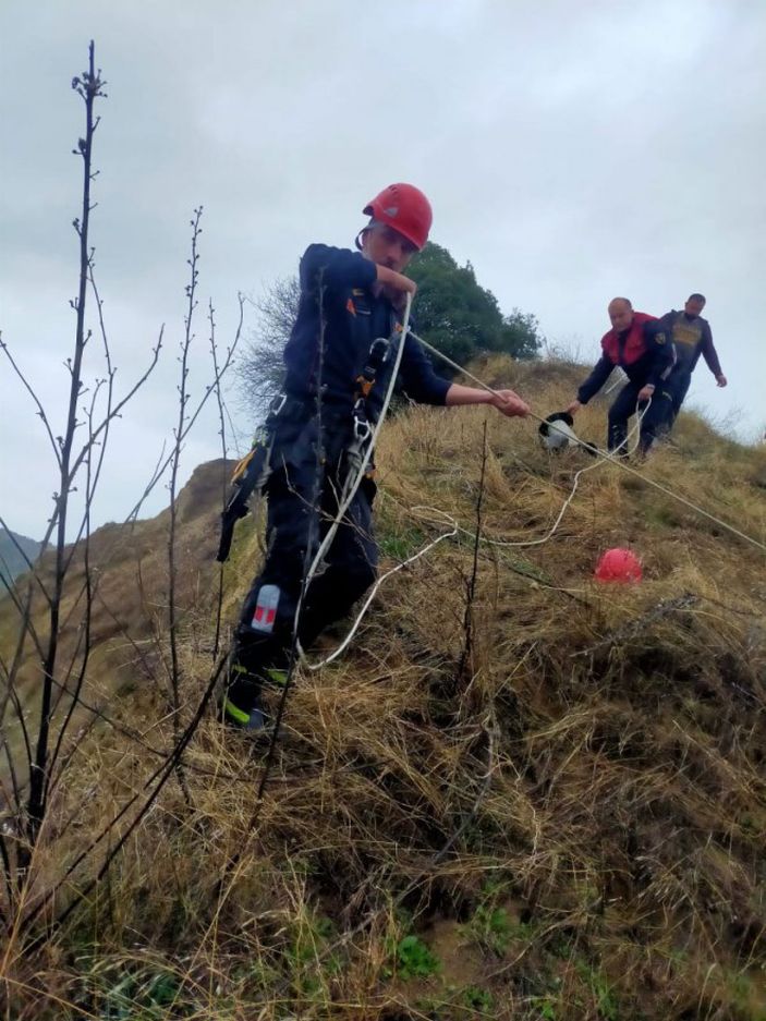 Yamaçta mahsur kalan köpeği itfaiye kurtardı -1