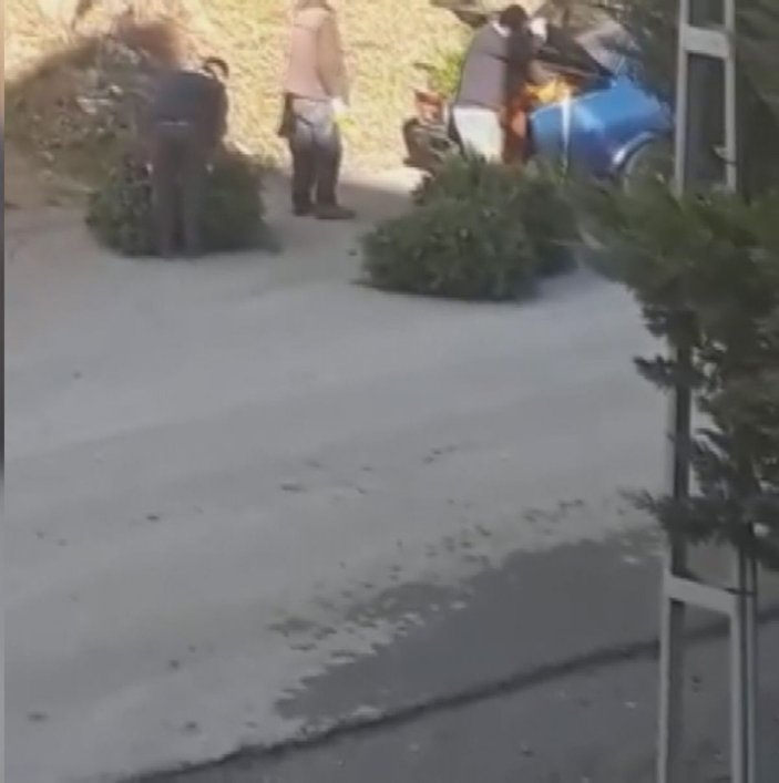 Arnavutköy'de çam ağaçlarını kesen kişiler suçüstü yakalandı