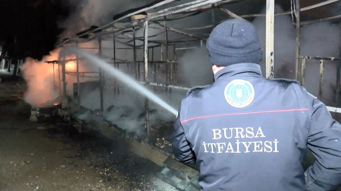 Bursa'da Atatürk Kent Ormanı'ndaki ahır yangını yürek sızlattı: 10 at öldü -6