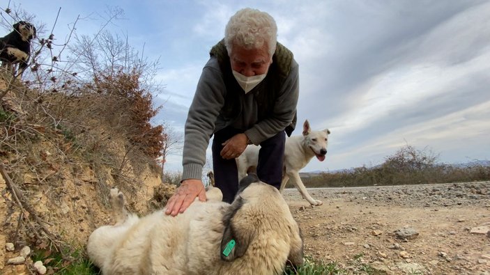 Kendini sokak hayvanlarına adadı, 71 yaşında veterinerlik okudu -10