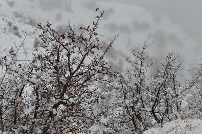 Elazığ'da kar yağışı nedeniyle 90 köy yolu ulaşıma kapandı -4