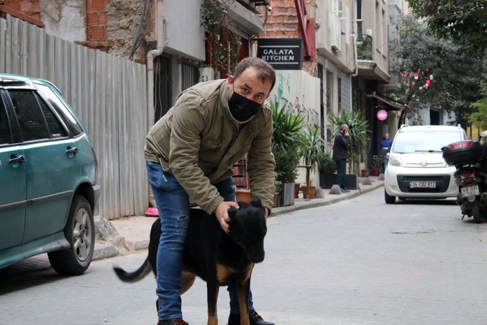 Beyoğlu'nda cep telefonu hırsızlığını köpek önledi... O anlar kamerada -1