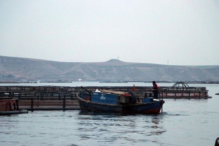 Fırat Nehri'nde yetiştirilen somon balıkları dünyaya ihraç ediliyor -8