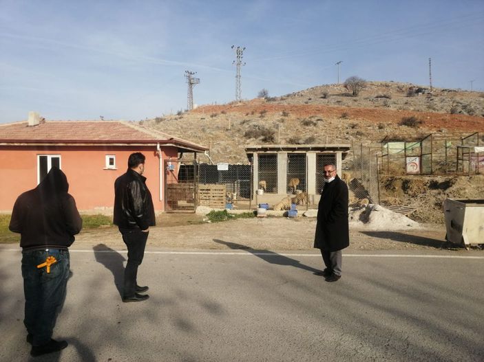 29 köpek, boş arazide baygın bulundu -3