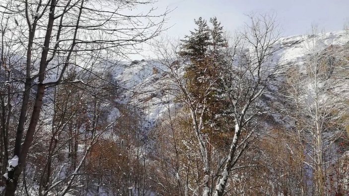 Artvin’de kardan kapalı yollar ulaşıma açıldı -5