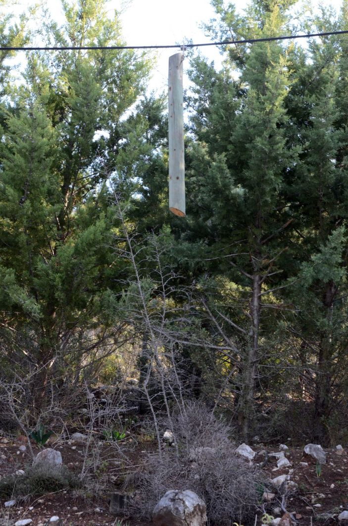 d Antalya'da şaşırtan hırsızlık; ahşap direkleri ortadan kesip çaldılar -5