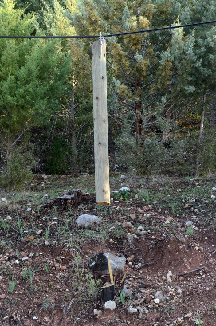 Antalya'da şaşırtan hırsızlık; ahşap direkleri ortadan kesip çaldılar -2