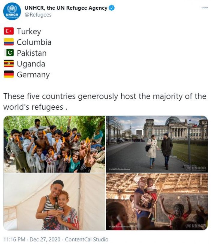 BM mülteci