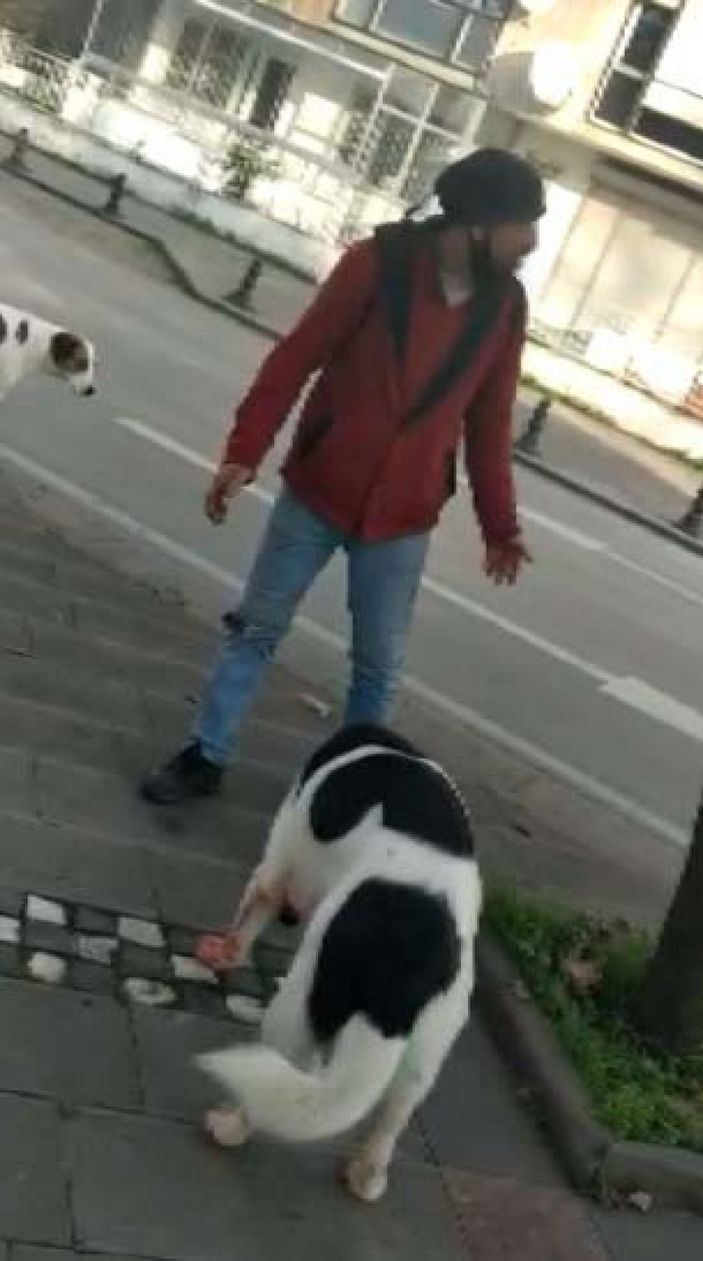 Pendik'te hayvanseverin köpeğe zarar verdiğini iddia ettiği kişiye tepkisi kamerada -8