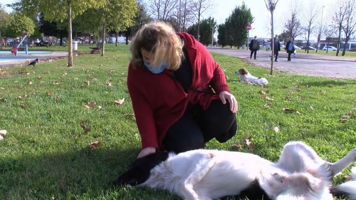 Pendik'te hayvanseverin köpeğe zarar verdiğini iddia ettiği kişiye tepkisi kamerada -4