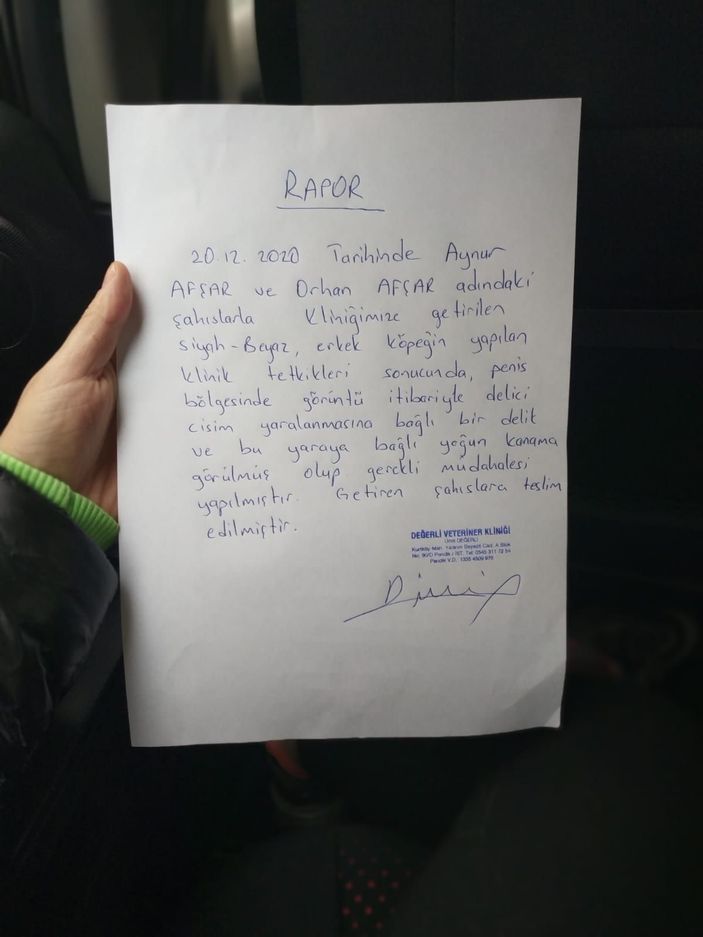 Pendik'te hayvanseverin köpeğe zarar verdiğini iddia ettiği kişiye tepkisi kamerada -7