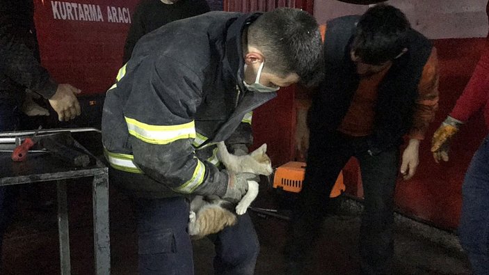 Düzce'de aracın camına bırakılan not, kedinin hayatını kurtardı