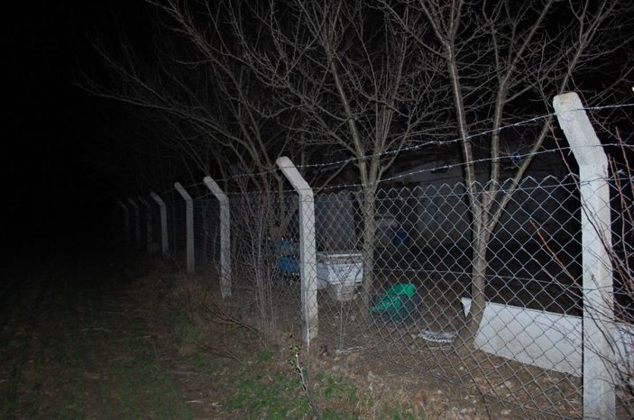 Tekirdağ'da hırsızlık: Köpekleri besleyip çitleri çaldılar