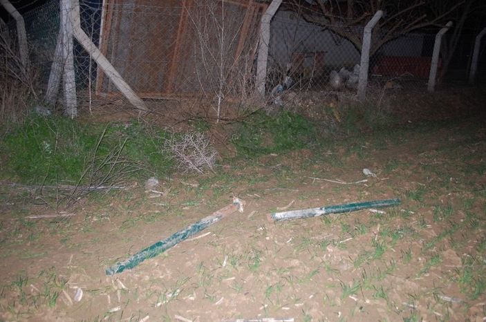 Tekirdağ'da hırsızlık: Köpekleri besleyip çitleri çaldılar