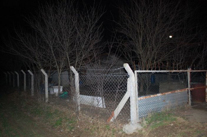 Tekirdağ'da hırsızlık: Köpekleri besleyip çitleri çaldılar