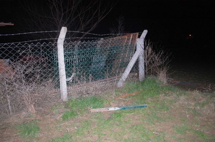 Tekirdağ'da hırsızlık: Köpekleri besleyip çitleri çaldılar