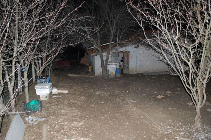 Tekirdağ'da hırsızlık: Köpekleri besleyip çitleri çaldılar