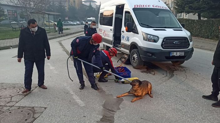 Minibüsün altında kalan köpeği itfaiye kurtardı -2