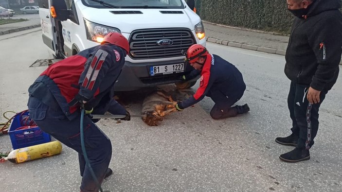 Minibüsün altında kalan köpeği itfaiye kurtardı -3
